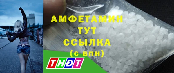 твердый Арсеньев