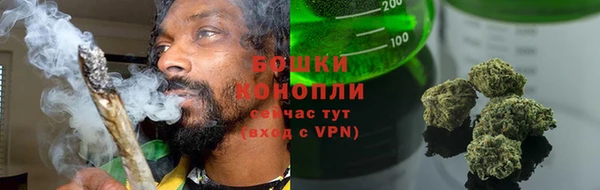 твердый Арсеньев