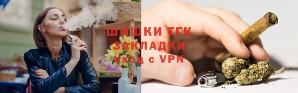 твердый Арсеньев