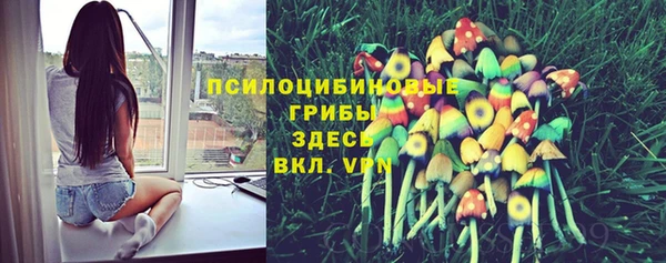 соль курить ск Аркадак