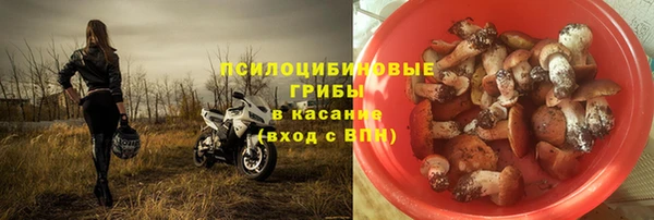 твердый Арсеньев